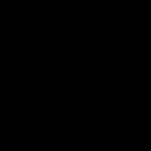 Meet your Posher, Raizele